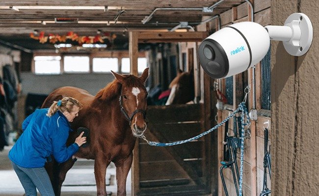 Woman grooming a horse in a stable with a Reolink security camera mounted on the wall, symbolizing modern Horse Care Surveillance.