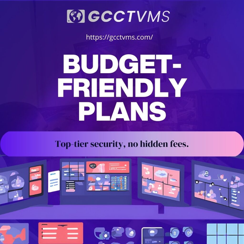 24/7 Video Surveillance Monitoring